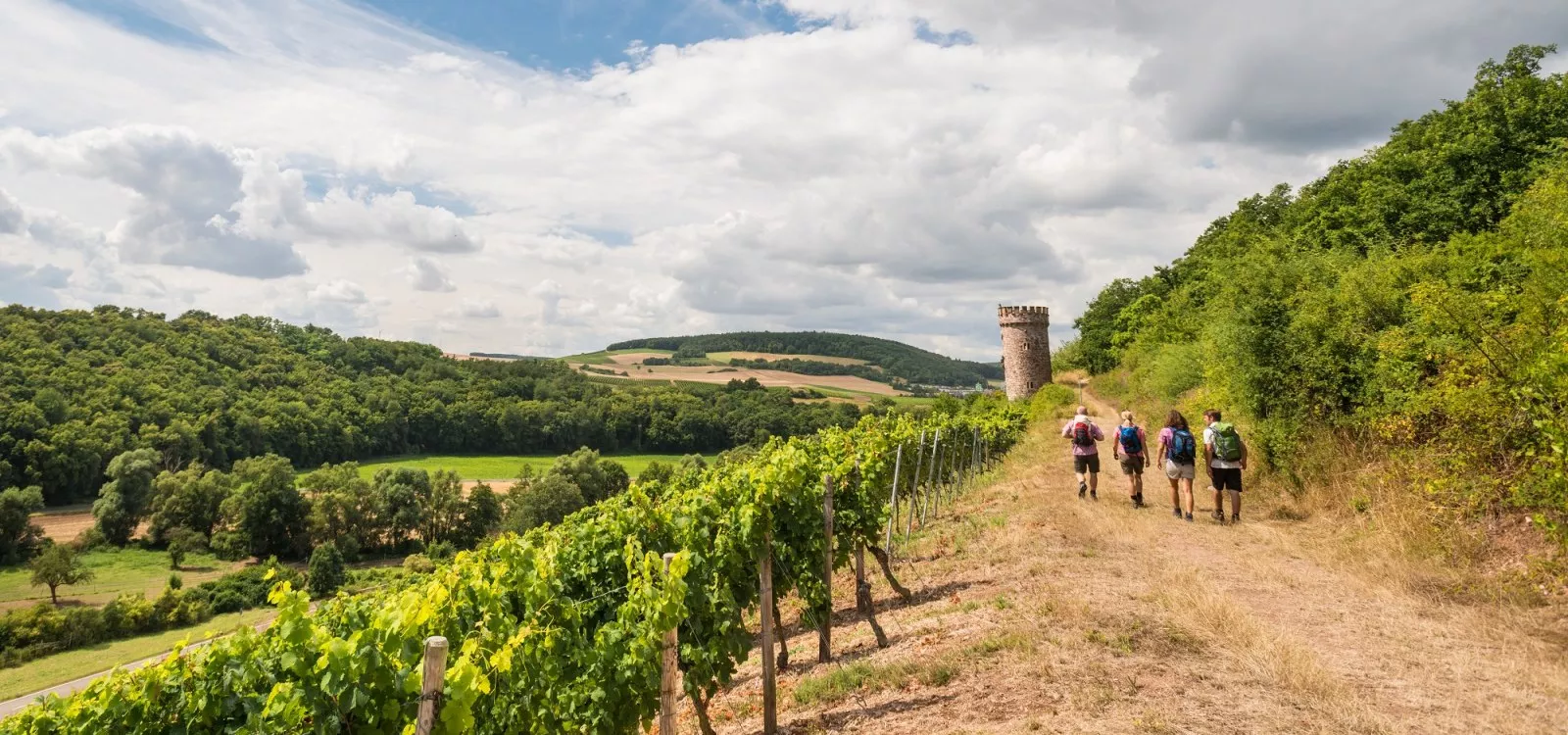 | © Rheinhessen Tourismus e.V. | © Rheinhessen Tourismus e.V.