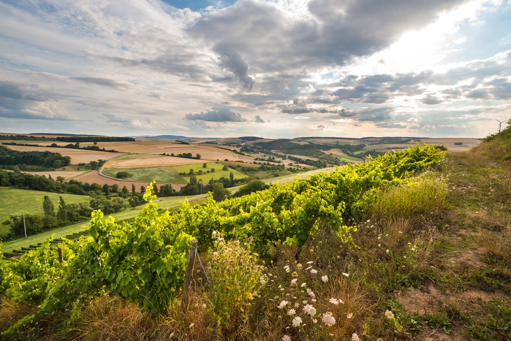  | © Rheinhessen Tourismus e.V.